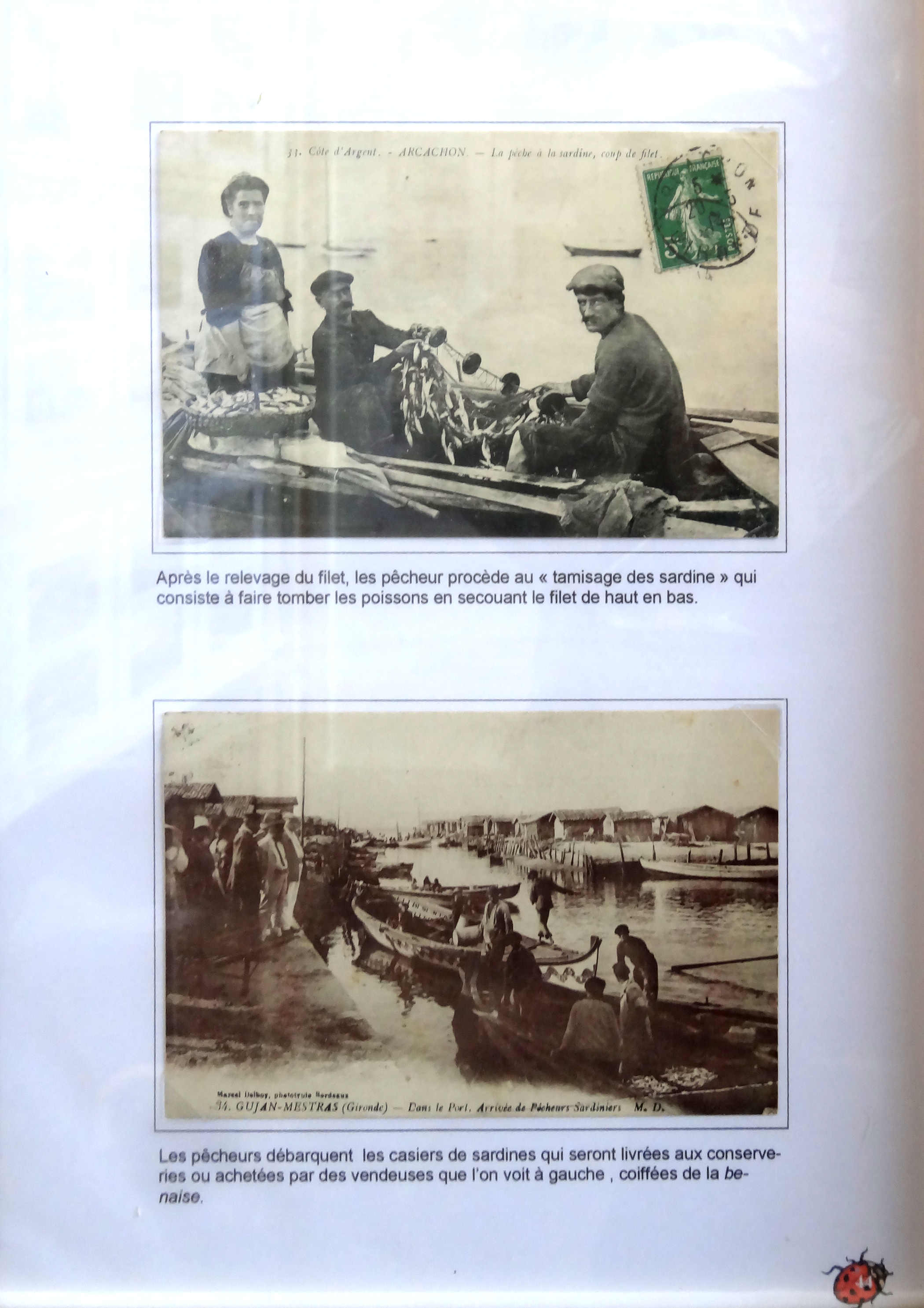 Photo de l’album
