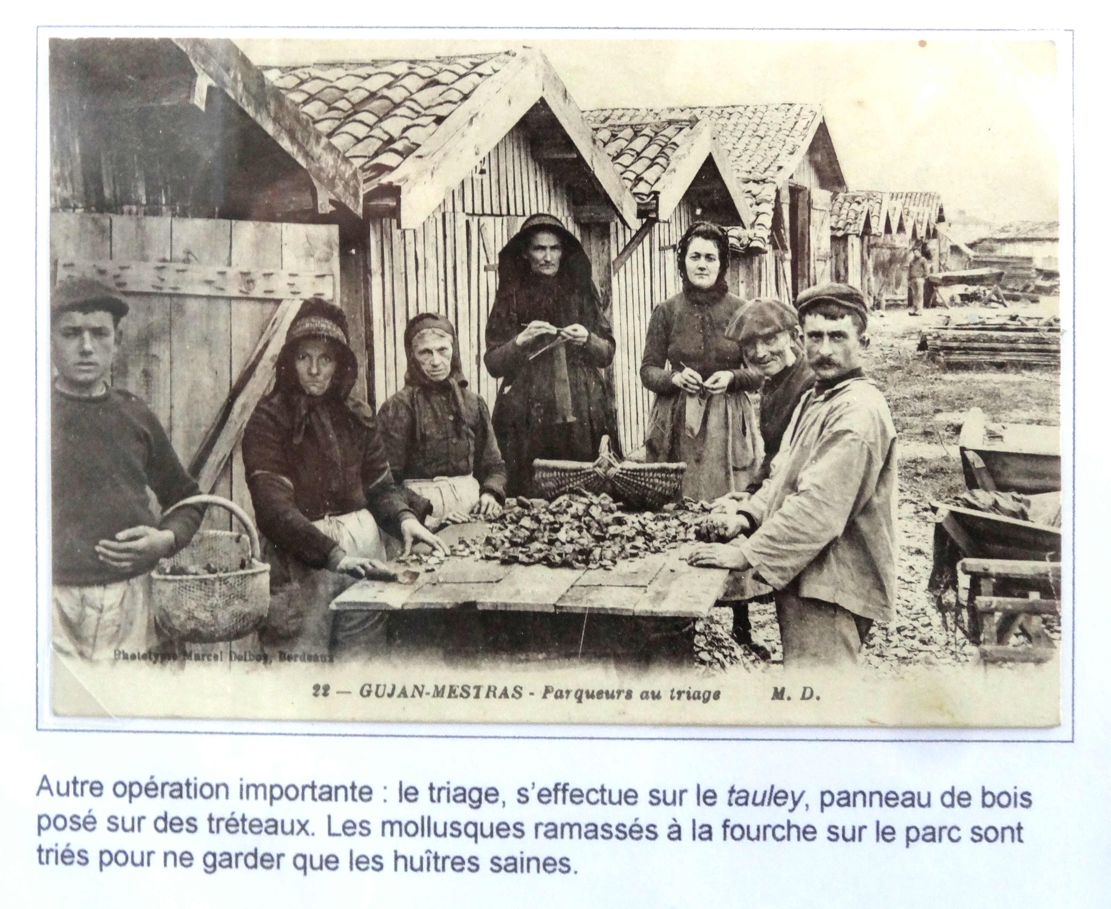 Photo de l’album
