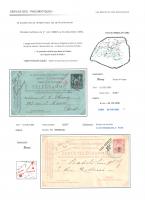 FLPN1203.jpg