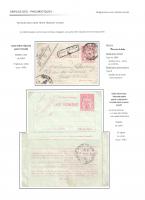 FLPN1208.jpg