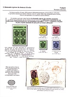 TSVFA_002.jpg