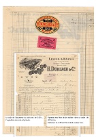 VACP016.jpg